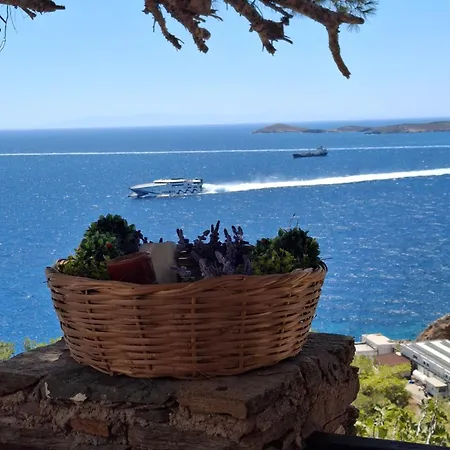 Thealos View